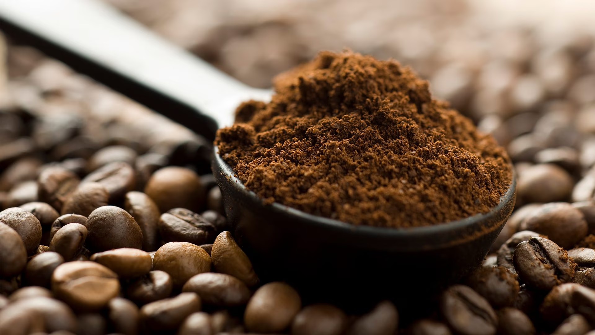 Un cucchiaio di caffè macinato poggiato su chicchi di caffè.